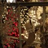 Festival of Trees