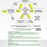 Truth-Based Quantum Learning (#TBQL)