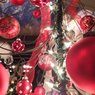 Festival of Trees