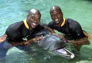 American 400-meter runners and twin brothers Alvin, left, and
Calvin Harrison of Salinas, Calif., swim with dolphins at Sea World
in Australia.