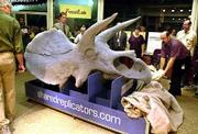 The new life-size cast of a Triceratops skull is unveiled at the
Smithsonian Natural History Museum in Washington, D.C. The skull
was created in the solid imaging lab of Shared Replicators, in
cooperation with Tulsa Technology Center and Smithsonian scientists
and technicians, when signs of deterioration of the original
Triceratops skeleton were detected. The new technology used to
replicate the skull also allows scientists to mold the skeletons
into dramatic poses.