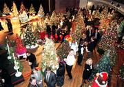 Trees with all the trimmings go on display Tuesday at the 14th
annual Festival of Trees at Liberty Hall, 642 Mass. This year's
event will feature 52 trees, donated and decorated by local
businesses, community organizations and individuals.