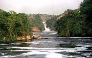 The Victoria Nile plunges down a ravine on its long journey to the
Mediterranean in Uganda. When British explorer Samuel Baker came
upon the explosion of water where the Nile bursts through a
130-foot ravine, he named it Murchison Falls in honor of the
president of Britain's Royal Geographical Society.