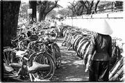 Sidewalk parking for bicycles like this1968 version have been
replaced by spaces reserved for motorized two-wheelers.
