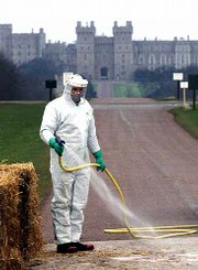 An estate worker sprays disinfectant onto a sterilized strip to
protect the Crown Estate at Windsor from foot-and-mouth disease.
Across Britain, people are being asked to keep away from the
countryside and large areas of parkland, many footpaths and forests
were closed to the public because of the foot-and-mouth outbreak.
Windsor Castle is seen in the background.