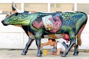 Lawrence muralist David Loewenstein puts the finishing touches on
"Co-Walligator," his entry in Kansas City&squot;s CowParade 2001.
Loewenstein says his creation is "an alligator who has, in a very
rudimentary way, disguised himself as a cow." The other side of his
cow art is shown in the "parade" at the top and bottom of this
page.