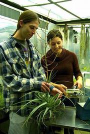 Shannon Martin was pursuing degrees in biodiversity, ecology and
evolutionary biology at Kansas University. She also worked at
Sunrise Garden Center, 15th and New York streets.