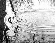"Dali on Water," by local photographer Don Gates is among the works
on display at the Lawrence Public Library, 707 Vt.