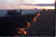 In April, pastures owned or leased by National Farms in the Flint
Hills near Strong City were burned to eliminate the dead grasses
from the previous year. Chase County firefighters created a back
fire behind the controlled burn.
