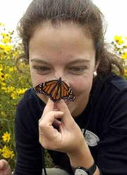 Tagging monarch butterflies with stickers for population and
migration studies, Alexandra Fraser, Lawrence, participates in the
annual Monarch Watch at the Baker Wetlands. Saturday morning's
event was a cooperative effort between the Kansas University
entomology program and the Jayhawk Audubon Society.