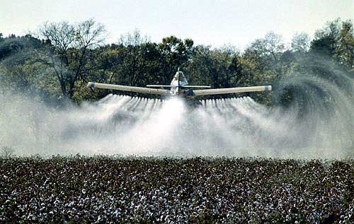 Image result for Plane spraying Cotton fields