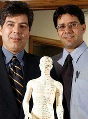 Brothers Mehdi Khosh, left, and Farhang Khosh are naturopathic
doctors whose treatments include homeopathy, herbal medicine and
acupuncture. The Khoshes are shown Friday with a model for Chinese
acupuncture points.