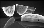 Charleston Gray and Jubilee varieties of watermelon make the best
pickles, according to Todd Wehner, a horticultural scientist at
North Carolina State University.