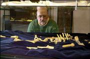 David Frayer is the curator of the exhibit "Early Us (and Them) in
Africa," a show that explores the origin of humanoids. The exhibit
will be on display at the Museum of Anthropology at Kansas
University .