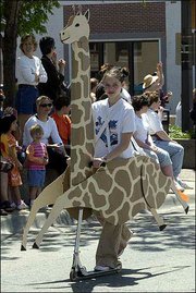 Emma Burgess-Olson, 13, Lawrence, travels up Massachusetts Street
in her rolling giraffe creation in the 2002 Art Tougeau parade.
Burgess-Olson's scooter won the Wildest Entry title in the annual
art-car parade, which began at noon Saturday at South Park and
rolled past hundreds of downtown fans.