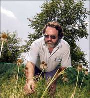 Steve Moring, Oskaloosa, has organized an herb growers association.
Moring looks over a test plot of echinacea pallida plants, also
called cone flowers, last week at his rural Oskaloosa farm.