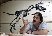 David Burnham, who runs the vertebrate paleontology lab at Kansas
University's Natural History Museum, is putting together an exhibit
for this fall on a small dinosaur called the Bambiraptor feinbergi.
Burnham describes the bone structure of the dinosaur using a cast
model from the bones that were discovered in Montana.