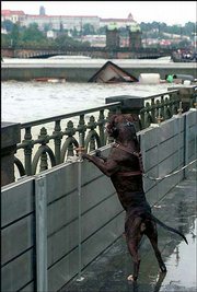 A dog in Prague, Czech Republic, looks over a segment of an
emergency flood wall erected on the Vltava River's embankment. The
river flooded more historical sites and residential areas on
Wednesday in the Czech capital.