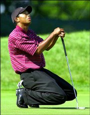 Tiger Woods drops to his knees after missing a birdie putt on the
ninth hole during the final round of the PGA Championship. Woods
made a late run Sunday, but couldn't catch eventual winner Rich
Beem at Hazeltine National Golf Club in Chaska Minn.