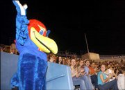 Baby Jay makes his first appearance to incoming freshmen and new
students during Traditions Night at Memorial Stadium. New students
were welcomed while learning the traditions of Kansas University on
Monday.