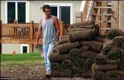 Tony Salah looks over rolls of sod as he sizes up spots for his
crew to install a lawn at 1008 Langston Court.