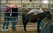 Jane and Daniel Pennington, Lawrence, at left, watch for the horses
they adopted during an auction at the Douglas County 4-H
Fairgrounds. The Penningtons purchased a young sorrel and a young
bay Saturday.