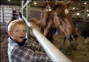 A.J. Crable, 7, Topeka, entices a young sorrel pony with some hay
during a horse auction at the Douglas County 4-H Fairgrounds.
Ninety wild horses and 30 burros were up for adoption Saturday
during the auction organized by the U.S. Bureau of Land Management.
This sorrel was adopted by Lawrence residents Daniel and Jane
Pennington.