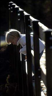 Three-year-old Charlie Newsome peers through a bridge's support
beams to a stream below at the McGrew Nature Preserve, 4600 W. 15th
St. The 15-acre preserve, whose sidewalks and bridges were recently
renovated, was donated in 1986 by Lawrence resident John McGrew.