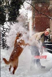 Mark Ferguson gets help shoveling snow from his dog Max in front of
their home in Columbus, Ohio. Heavy snow fell across the Ohio
Valley and into the mid-Atlantic states Sunday.