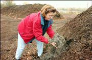Mollie Mangerich, Lawrence, picks up a handful of the city's
compost at the composting facility in east Lawrence. The piles of
compost are unusable in gardens because they're contaminated with a
herbicide harmful to certain flowers and plants.