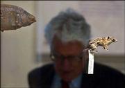 A visitor views a case containing a rudd minnow collected in the
lakes of Italy in the 1830s and a Colorado chipmunk collected in
the Rocky Mountains in 1834, at the American Philosophical Society
in Philadelphia. The specimens are part of the American
Philosophical Society's new exhibit, "Stuffing Birds, Pressing
Plants, Shaping Knowledge," examining 130 years of natural history
in North America.