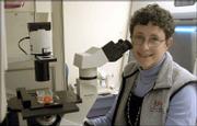 Joanne Kurtzberg, director of the pediatric bone marrow and stem
cell transplant program at Duke University Medical Center,
questions the marketing tactics of private companies that store
cord blood.