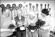 From left, Lawrence African Violet Club members Kathy Davids, Della
Hadley, Gertrude Tweddell and Sharon Morrow discuss their plants.
The members recently met to discuss the club's Mother's Day plant
sale, which is today at The Malls Shopping Center, 23rd and
Louisiana streets. Pictured in the background are ribbons that
Hadley has received for her African violets.