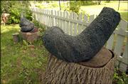 Several pieces of a sculpture called "Inside Out" are displayed on
stumps in arts commissioner Jeff Ridgway&squot;s back yard. The piece,
which was donated to the city of Lawrence after the 2002 Outdoor
Downtown Sculpture Exhibition, was broken while being stored on a
city lot.