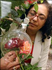 Subha Patel, director of botanical fragrance technology at
International Flavors & Fragrances Inc., places a glass globe
over two flowers to collect their combined fragrance molecules at
an IFF greenhouse in Union Beach, N.J. The fragrance is collected
for about 30 minutes then analyzed in a computer to re-create the
flower aroma for use in perfumes.