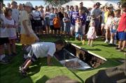 Bryson Cummins, 3, Lawrence, takes a last look at the
Sesquicentennial Time Capsule during the closing ceremony of the
city's 150th anniversary celebration. Bryson and others at the
event Sunday placed final notes and personal items in the capsule
before it was sealed and buried at Sesquicentennial Point, near the
Clinton Lake dam. At center right near the capsule is 21-month-old
Lillian Derby, of Lawrence, a sixth-generation descendant of Amos
Lawrence, for whom the city is named.