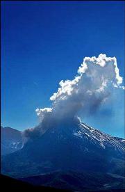 A column of steam and ash starts to rise from the crater of Mount
St. Helens in Mount St. Helens, Wash., at the start of a predicted
eruption. The plume rose for 20 minutes before blowing away in the
wind.
