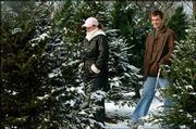 Curtis Walter and his wife Audra, of Eudora, spent part of Tuesday
selecting their Christmas tree at Strawberry Hill Christmas Tree
Farm west of Lawrence. Farm owners Eric and Lyn Walther planted
their first tree in 1977 and are celebrating their 20th year of
selling their product.