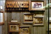 Officials at Kansas University's Natural History Museum are
preparing a new exhibit space for Comanche, the horse that survived
Custer's Last Stand. The new space also will have new photos and
information about Comanche's life story, as well as a video
presentation on the horse.