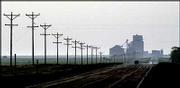 A row of utility poles forms a line along U.S. Highway 36 in
Rawlins County in northwest Kansas. A grain elevator, one of many
in Kansas, is silhouetted in the background.<br>
<a href=
"http://etc.lawrence.com/galleries/america247/8325_lores.html"
target="_new" onclick=
"window.open(&squot;http://etc.lawrence.com/galleries/america247/8325_lores.html&squot;,&squot;Photo&squot;,&squot;height=650,width=550,screenX=10,screenY=10,&squot; + &squot;scrollbars,resizable&squot;); return false;">
<img src="http://www.ljworld.com/art/icons/icon_photo.gif" border=
"0" alt="photo"> Photo Gallery: Kansas 24/7</a><br>