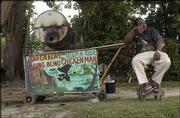 A Jamaican sets up his roadside barbecue stand in the late
afternoon to be ready for evening sales. On the Caribbean island,
such stands are popular, and most specialize in jerk chicken,
though some have fare as varied as lobster pizza, oxtails, curry
goat or jerked pork.<br>
<a href=
"http://etc.lawrence.com/galleries/jerkcooking/8435_lores.html"
target="_new" onclick=
"window.open(&squot;http://etc.lawrence.com/galleries/jerkcooking/8435_lores.html&squot;,&squot;Photo&squot;,&squot;height=650,width=550,screenX=10,screenY=10,&squot; + &squot;scrollbars,resizable&squot;); return false;">
<img src="http://www.ljworld.com/art/icons/icon_photo.gif" border=
"0" alt="photo"> Photo Gallery: Island spice</a><br>