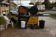 A man named Honest John has a jerk chicken booth across the street
from where Journal-World photographer Richard Gwin stays when he&squot;s
in Jamaica. "He gets up at about 3 o&squot;clock in the afternoon and
starts his preparation for his jerk cooking," Gwin says of Honest
John, pictured above.<br>
<a href=
"http://etc.lawrence.com/galleries/jerkcooking/8435_lores.html"
target="_new" onclick=
"window.open(&squot;http://etc.lawrence.com/galleries/jerkcooking/8435_lores.html&squot;,&squot;Photo&squot;,&squot;height=650,width=550,screenX=10,screenY=10,&squot; + &squot;scrollbars,resizable&squot;); return false;">
<img src="http://www.ljworld.com/art/icons/icon_photo.gif" border=
"0" alt="photo"> Photo Gallery: Island spice</a><br>