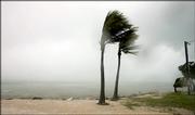 Heavy rain from Hurricane Dennis falls Friday on the Florida Keys as the storm barrels toward the Gulf of Mexico. The storm has blown uncertainty into the minds of oil traders, fearful of possible supply disruptions.