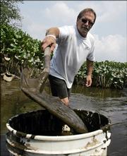 Jim Bintliff gently shovels mud from a creek into a bucket. For more than 50 years, Bintliff, shown June 30 in southern New Jersey, and his family's company, Lena Blackburne Baseball Rubbing Mud, has provided high-quality mud to professional baseball teams. The teams, from the major leagues to the minors and independent leagues, use the mud to get shiny baseballs ready for play.