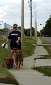 Lynette Petty, Lawrence, walks her dogs on 22nd Street. New subdivision regulations are attempting to put sidewalks on both sides of the street along with more crosswalks.
