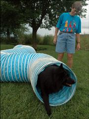 Barb Clauson, a dog trainer with the Lawrence Kennel Club, runs her 7-year-old Belgian Sheepdog, Konza, through an agility tunnel at her home.