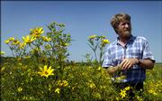 Kelly Kindscher, associate scientist with the Kansas Biological Survey, says restored wetlands, like this one in the shadow of Clinton Lake, never quite reach the biological diversity of the original wetlands.
