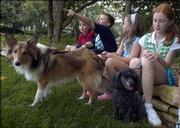 Dogs Lincoln, a sheltie, and Trixie, a poodle, are shown off by their owners, from left to right, Sean McSweyn, James McSweyn, Tess McSweyn and Katie Gaches. Residents in their neighborhood are concerned about stories of pets being attacked.