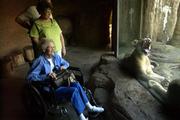 Reba Bacon, of Aberdeen, Miss., foreground, observes as a sleepy lioness yawns at the Topeka Zoological Park. With Bacon on Tuesday afternoon were her daughter Linda Massey and son-in-law Harry Massey, of Holton. Topeka Mayor Bill Bunten is trying to persuade officials in Douglas County and other neighboring counties that the Topeka Zoo should become a regional zoo with support from other parts of Northeast Kansas.