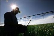 American Onion Inc. farm unit manager Chris Monkman, of Pendleton, Ore., kneels in an onion field near watering pipes and uses a laptop with wireless capabilities in Hermiston, Ore. Even as the most developed cities in the nation struggle with whether to offer free Wi-Fi access, one of the most rural counties in the nation has succeeded in creating the world's largest hot spot, a Wi-Fi cloud that stretches over the wide open landscape in Umatilla County, Ore.
